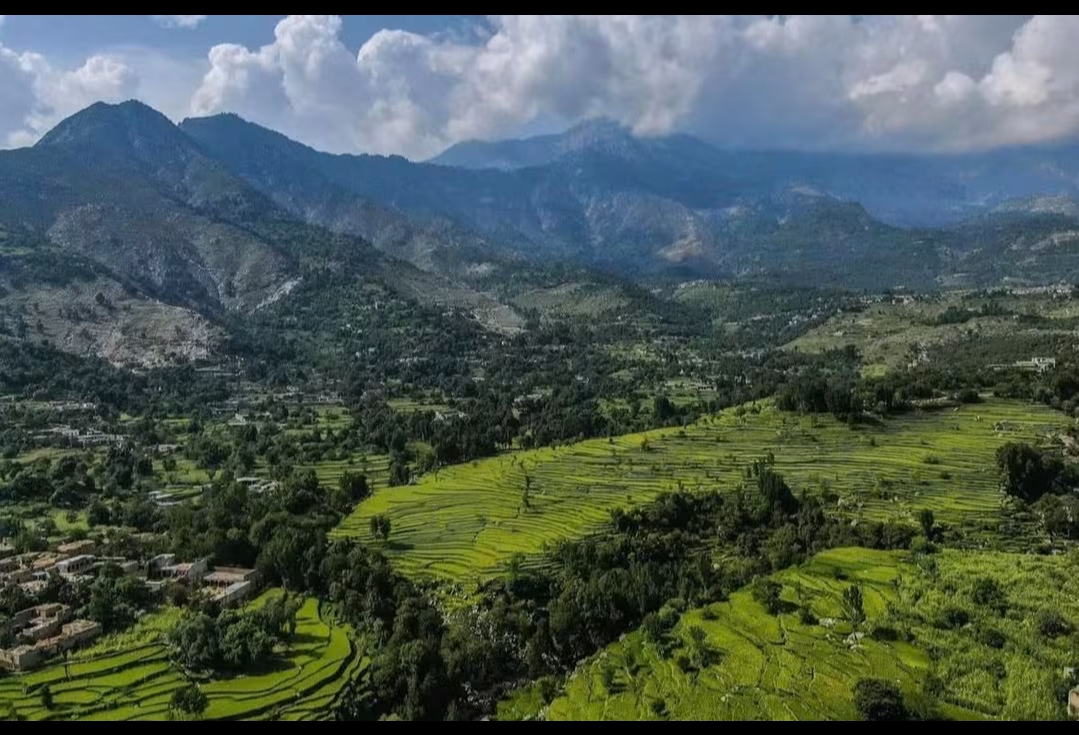 Bajaur Gallery 12