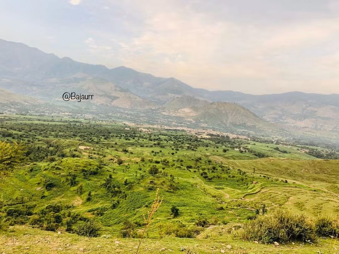 Bajaur Gallery 2
