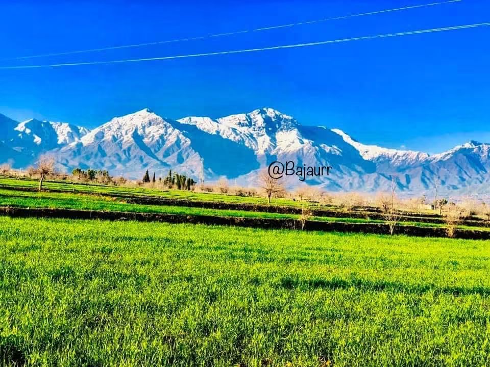 Bajaur Gallery 3