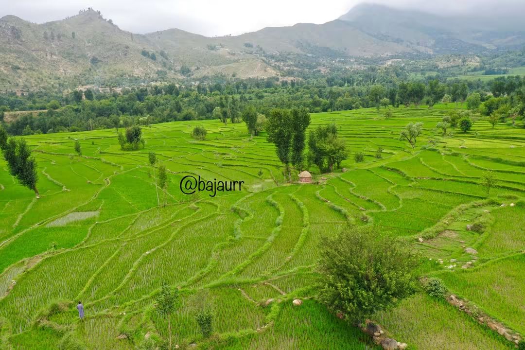 Bajaur Gallery 4