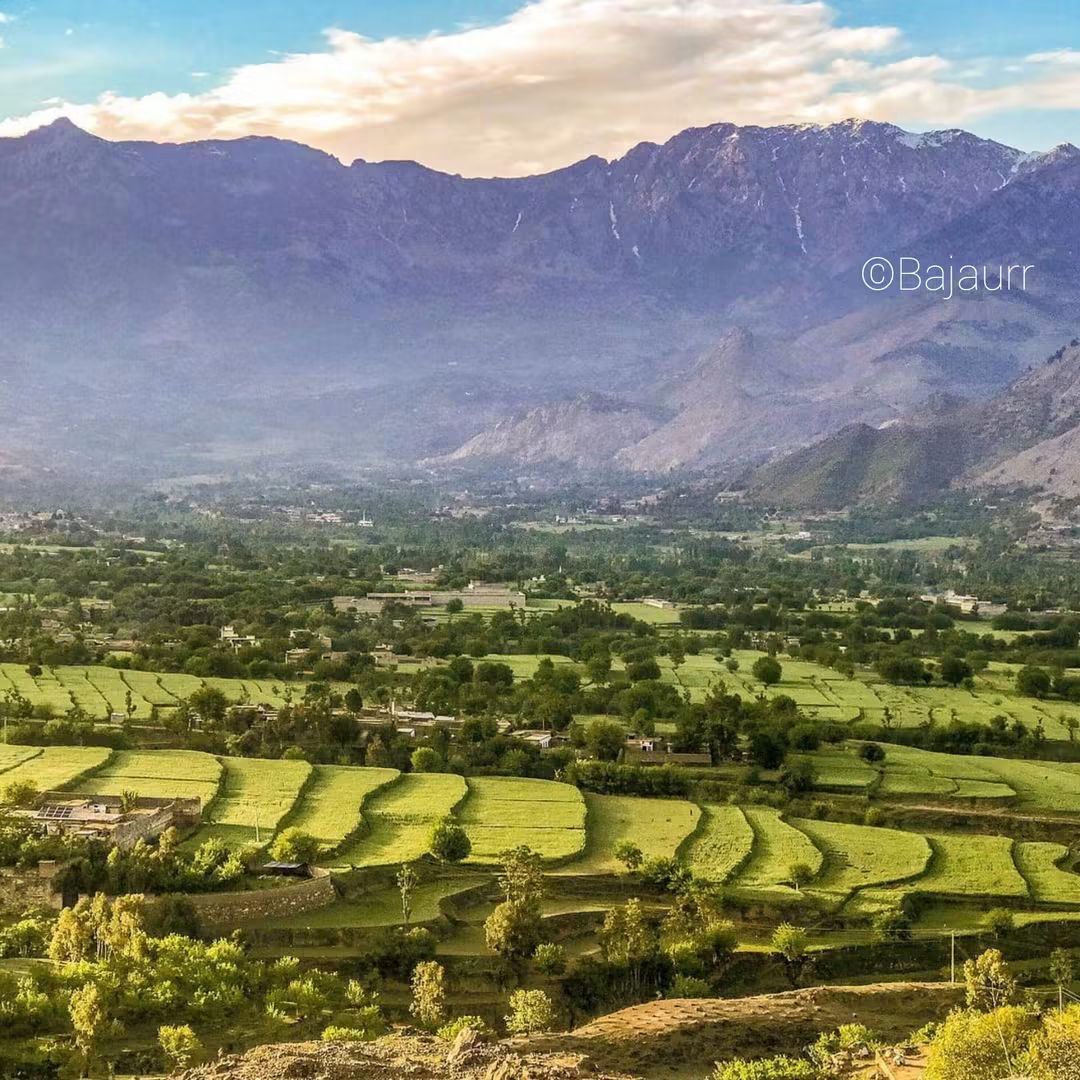 Bajaur Gallery 7